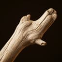 Madera seca