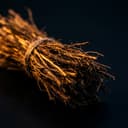 Vetiver